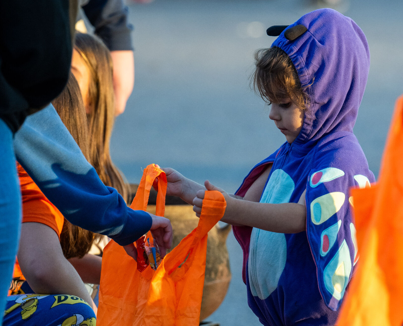 BR.wftrunktreatxtra.102324_2035 MJ.JPG
